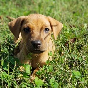 Meet your Posher, Jill